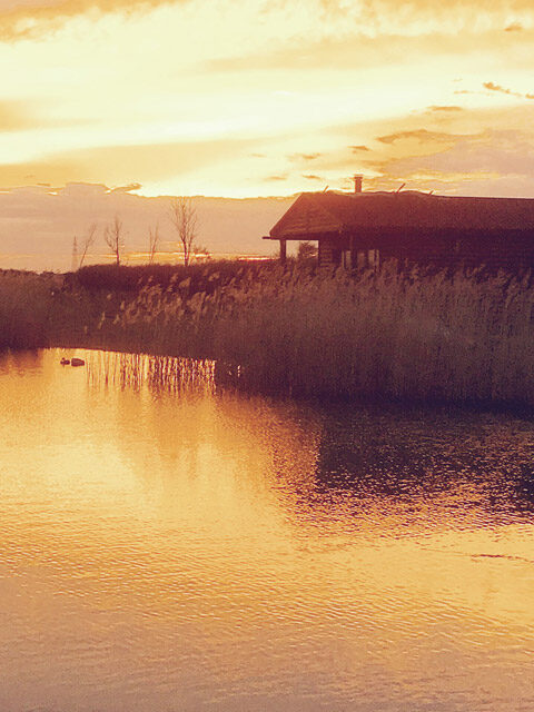 Lakeside Fishing Lodges
